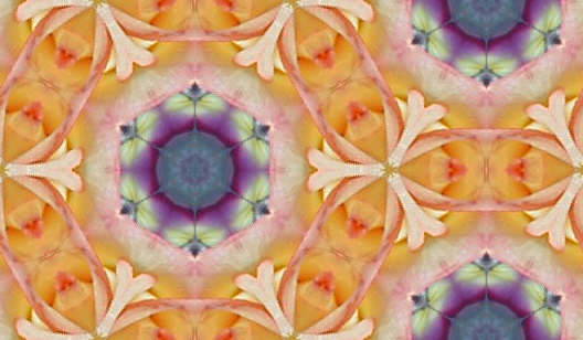 fleurx.jpg (30984 bytes)