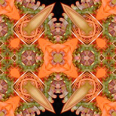 orange1.jpg (41751 bytes)
