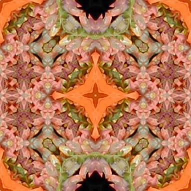 orange2x.jpg (43000 bytes)