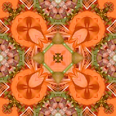 orange3.jpg (40033 bytes)