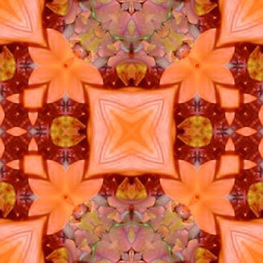 orange6x.jpg (34313 bytes)