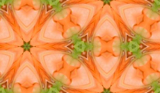 orange_smear.jpg (39933 bytes)